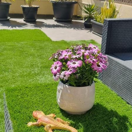 La Zenia Sabrina Apartment 5 Orihuela Kültér fotó